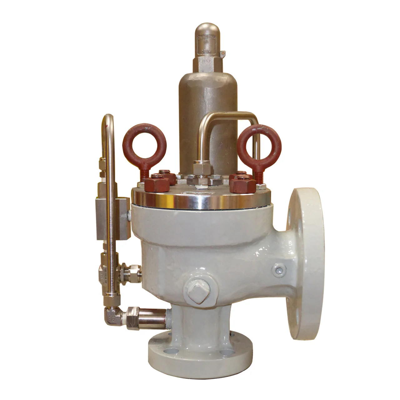 Dual Plate Check Valve