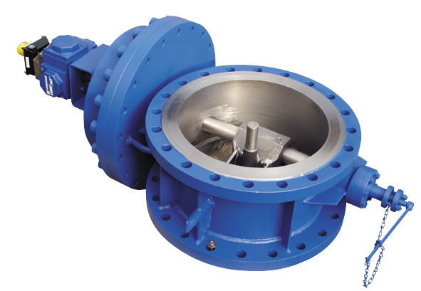 Steam Check Valves